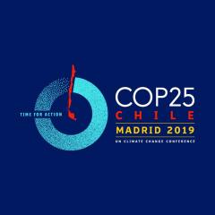 Logo COP25 twitter