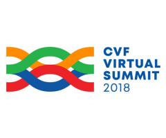 Log CVF Summit
