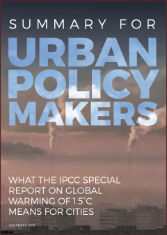 Cover Summary for Urban Policymakers